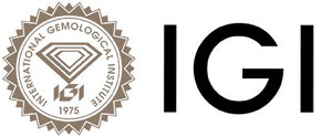 IGI Logo